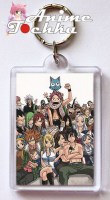 Fairy Tail 18